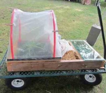 Homesteading Month Brings Cold Weather Gardening to Washington’s Rural Living Today Image